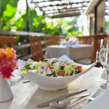 ベロニカ ホテル 3*