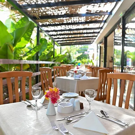 ベロニカ 3* パ フォス