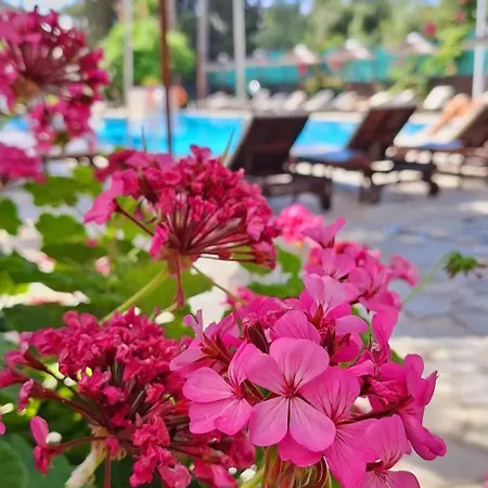 Hotel Veronica
