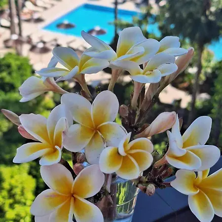 ベロニカ ホテル