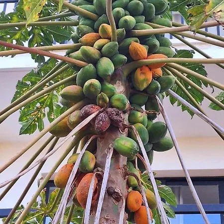 ホテル ベロニカ