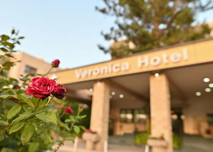 Hotel Veronica 3*