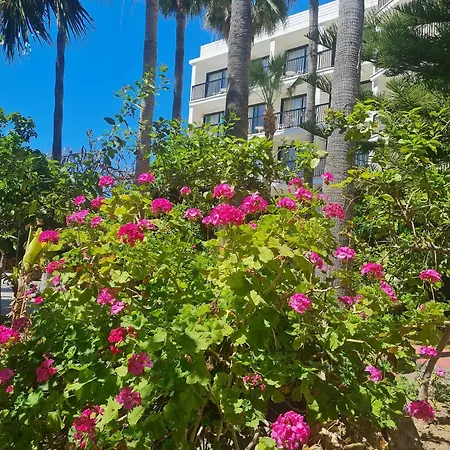 Hotel Veronica 3*