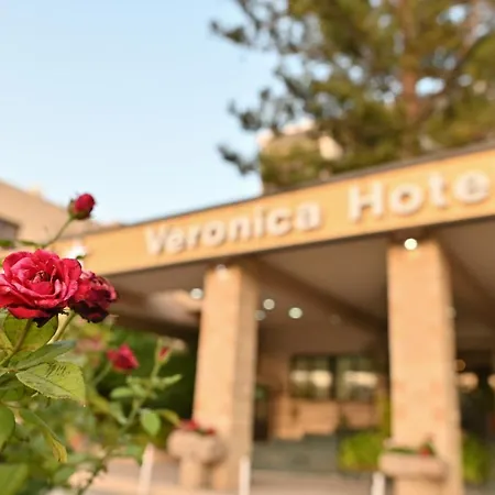 Hotel Veronica 3*